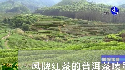 凤牌红茶的普洱茶唛号/2023061668373