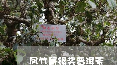 凤竹箐银奖普洱茶/2023120435171