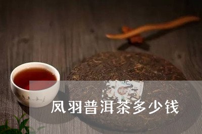 凤羽普洱茶多少钱/2023120439593