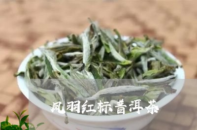 凤羽红标普洱茶/2023121517270