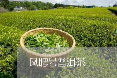 凤聘号普洱茶/2023090676129