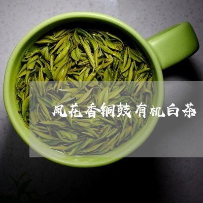 凤花香铜鼓有机白茶/2023071511702