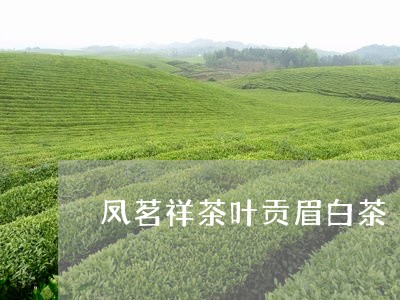 凤茗祥茶叶贡眉白茶/2023071522826