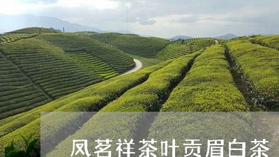 凤茗祥茶叶贡眉白茶/2023121793745