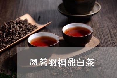 凤茗羽福鼎白茶/2023062855038