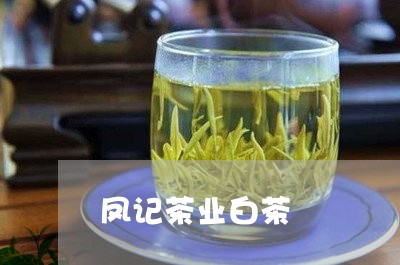 凤记茶业白茶/2023051329593