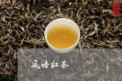 凤语红茶/2023090166169