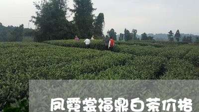 凤霓裳福鼎白茶价格/2023120568281