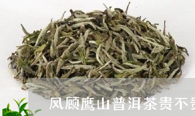 凤顾鹰山普洱茶贵不贵/2023072385360