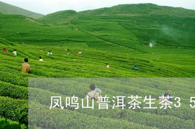 凤鸣山普洱茶生茶357g/2023110204838