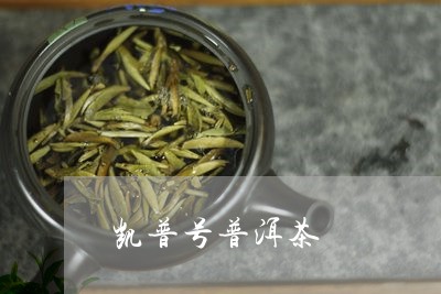 凯普号普洱茶/2023081542815