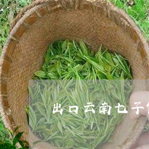 出口云南七子饼普洱茶/2023062166137