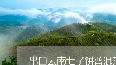 出口云南七子饼普洱茶的价格/2023110521736