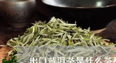 出口普洱茶是什么茶种的/2023082857169