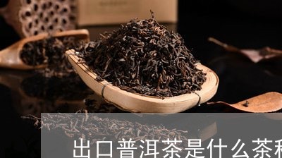 出口普洱茶是什么茶种类/2023082899380