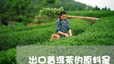 出口普洱茶的原料是/2023071122603