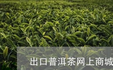 出口普洱茶网上商城是真的吗/2023110532965