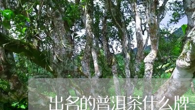 出名的普洱茶什么牌子/2023100562716