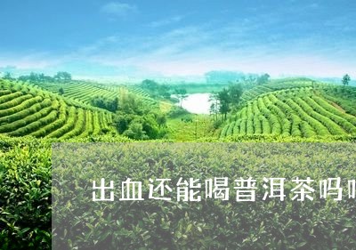 出血还能喝普洱茶吗吗/2023062970471