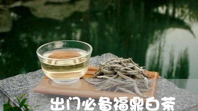 出门必备福鼎白茶/2023062875140