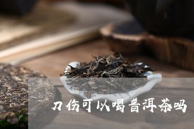 刀伤可以喝普洱茶吗/2023121545157