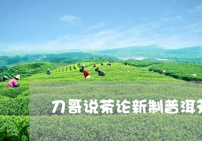 刀哥说茶论新制普洱茶/2023062312717