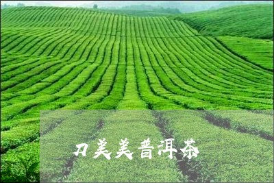 刀美美普洱茶/2023042765637