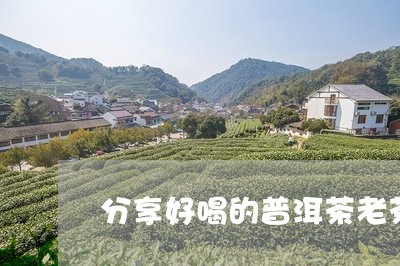 分享好喝的普洱茶老茶/2023120734270