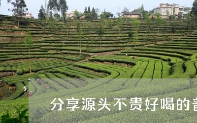 分享源头不贵好喝的普洱茶/2023082582724