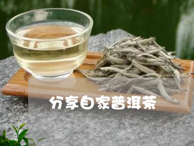 分享自家普洱茶/2023112603058