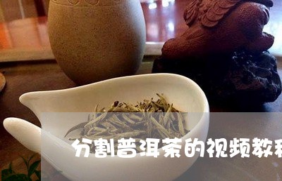 分割普洱茶的视频教程/2023062038380