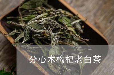 分心木构杞老白茶/2023061573149