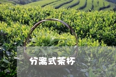 分离式茶杯/2023110988402