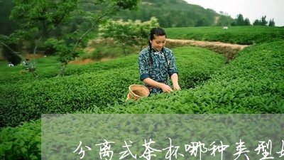 分离式茶杯哪种类型好/2023060896958