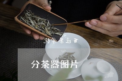 分茶器图片/2023090241582