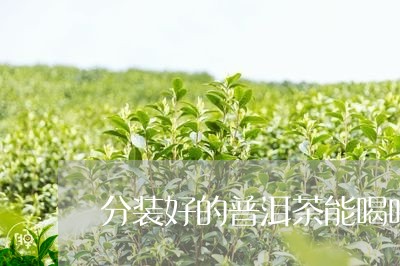 分装好的普洱茶能喝吗/2023110383805