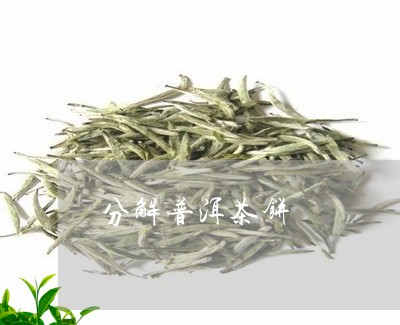 分解普洱茶饼/2023042696649