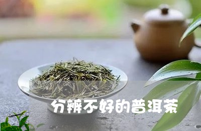 分辨不好的普洱茶/2023101649372