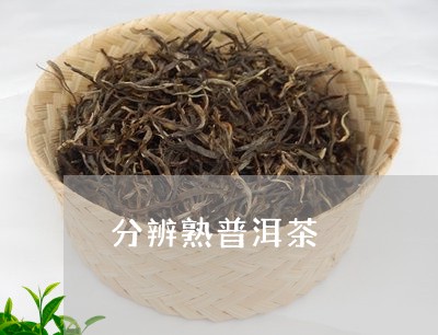 分辨熟普洱茶/2023042602550