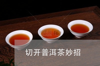 切开普洱茶妙招/2023101639616