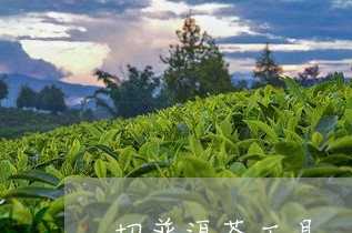 切普洱茶工具/2023042734712