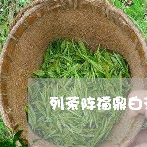 列茶阵福鼎白茶/2023082695937