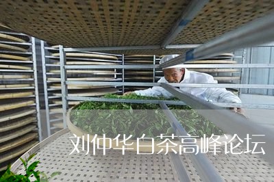 刘仲华白茶高峰论坛/2023071546069