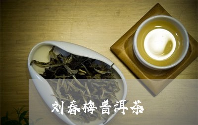 刘春梅普洱茶/2023101691614