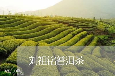 刘祖铭普洱茶/2023042517729