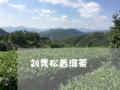 刘秀松普洱茶/2023042882202