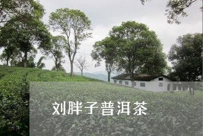 刘胖子普洱茶/2023042652799