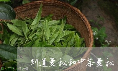 则道曼松和中茶曼松/2023042060736