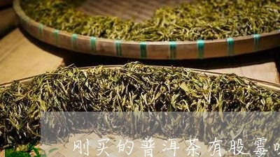 刚买的普洱茶有股霉味/2023092799504