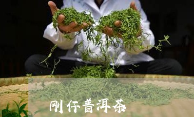 刚仔普洱茶/2023110934940